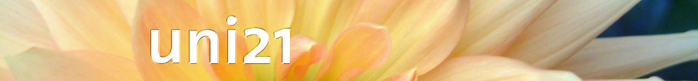 Kopf mit Logo uni21